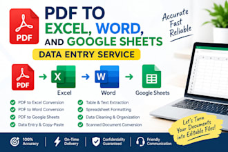 do data entry, google sheets, and excel spreadsheet work