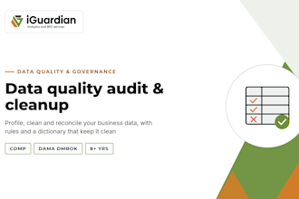 audit and clean your business data as a cdmp certified analyst