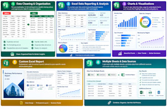 do excel data cleaning, data reporting and data visualization