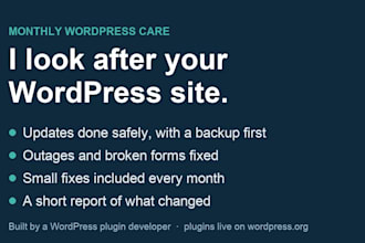 maintain your wordpress site monthly with updates, backups and fixes