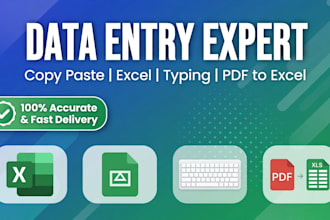 do data entry copy paste excel data entry and typing work fast