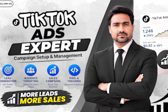 tiktok ads campaign setup, management and optimization