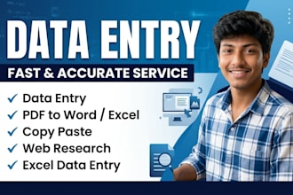 do data entry, copy paste, web recharge