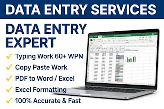 expert data entry, copy paste, ms word, and excel typing work