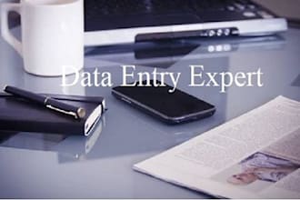 do perfect data entry and ms office expert work