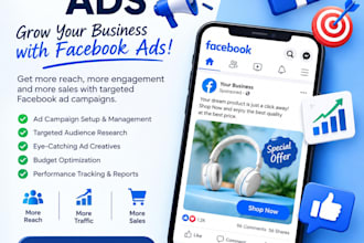 setup and manage facebook ad campaigns