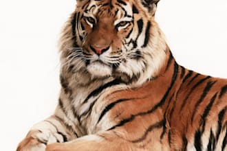 create realistic animal illustration