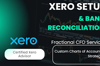 do xero online set up and bank reconciliation