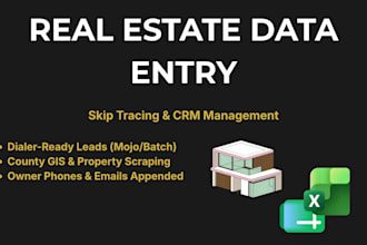 mine real estate property data into organized excel files