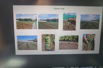 provide overall crop management package for plant
