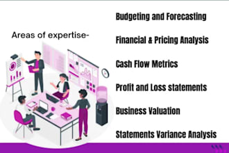 build excel financial model, forecasts, budget, business plan