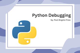 debug your python programs