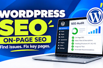 do wordpress website SEO audit and optimization