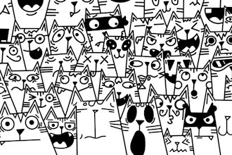 draw custom doodles and illustrations for you