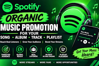 do organic spotify song music album track playlist promotion and marketing