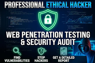 perform web penetration testing and security audit