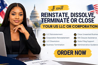 do US llc or corp reinstatement, terminate, file dissolution