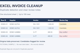 clean your excel invoice data and flag potential duplicates