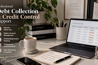 provide professional credit control support
