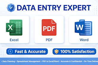do fast data entry,typing,copy paste and excel work
