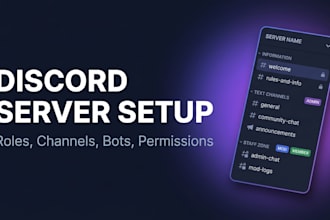 set up a professional discord server with roles bots and permissions