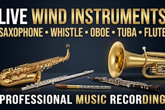 record wind instrument saxophone, whistle, oboe, tuba, flute for your song