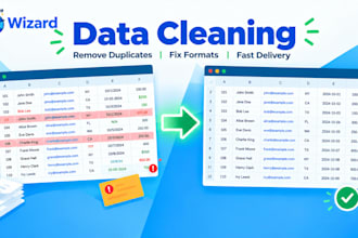 clean messy data and format your excel sheet professionally