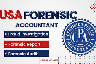 provide forensic accounting, financial investigation, and transaction tracing