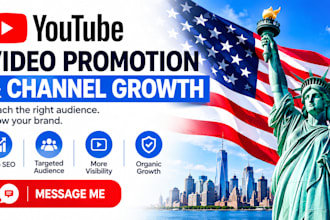 do professional USA youtube video promotion, organic channel growth