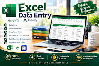 do professional data entry, excel and copy paste work