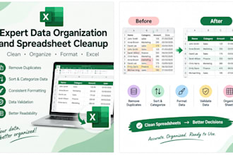 expert data organization and spreadsheet cleanup