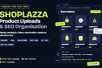 design shoplazza product uploads and organisation for seo optimazation