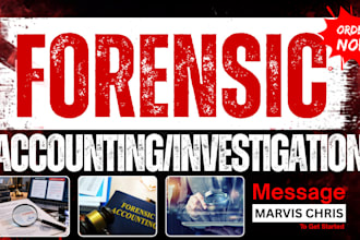 perform digital forensic accounting, fraud investigation with a detailed report