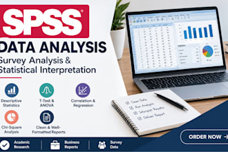 do expert spss data analysis, survey analysis, and statistical interpretation