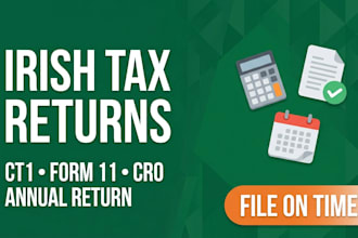 prepare irish ct1 tax returns, form 11 and cro annual returns