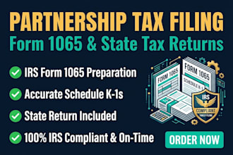 prepare partnership tax return form 1065 and state tax returns
