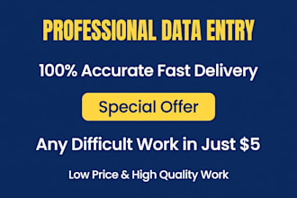 do ms excel data entry, typing work and office work