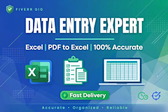 do data entry ms word excel canva design