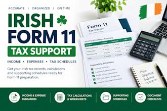 prepare irish form 11 tax returns, tax calculations and schedules