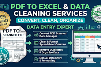 convert PDF to excel, clean messy data, and format spreadsheets