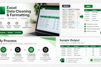 clean, format, and organize your excel data