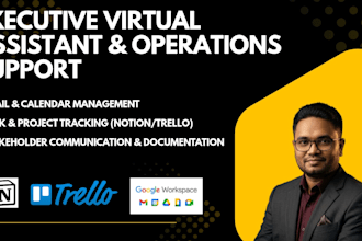 be your executive virtual assistant and operations support