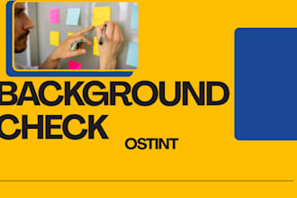 conduct osint investigation, background checks and online research