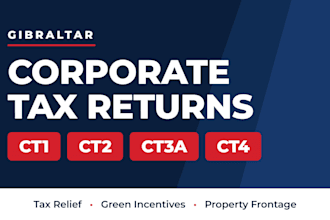 file gibraltar corporate tax returns ct1 ct2 ct3a ct4 tax relief applications