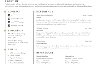 create professional, polished resume or CV