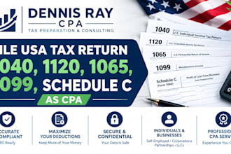file USA tax return 1040, 1120, 1065, 1099, schedule c as cpa