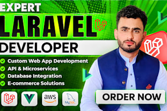 build laravel web apps and full stack solutions