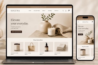 create a professional ecommerce website or online store