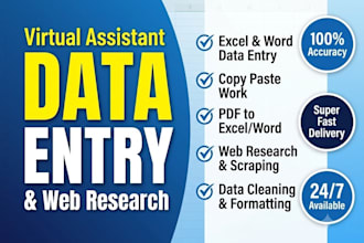 do accurate data entry, copy paste and excel data typing