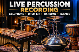 record xylophone, acoustic drum kits, handpan, djembe for your song